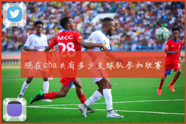 现在cba共有多少支球队参加联赛